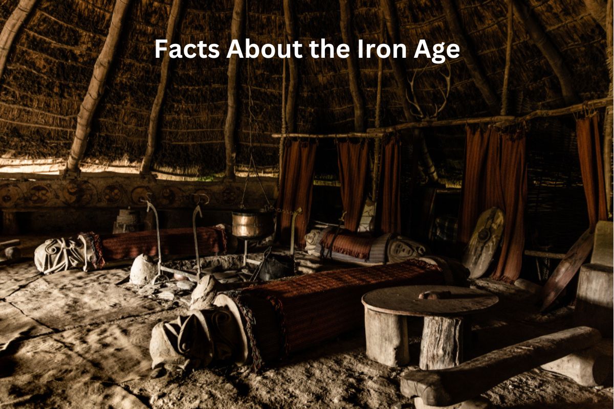 89 Iron age ideas in 2025 | iron age, medieval, historical architecture