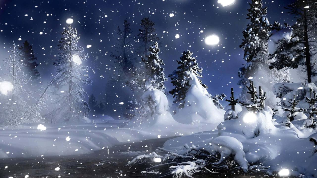 [100+] Winter Wonderland Pictures | Wallpapers.com