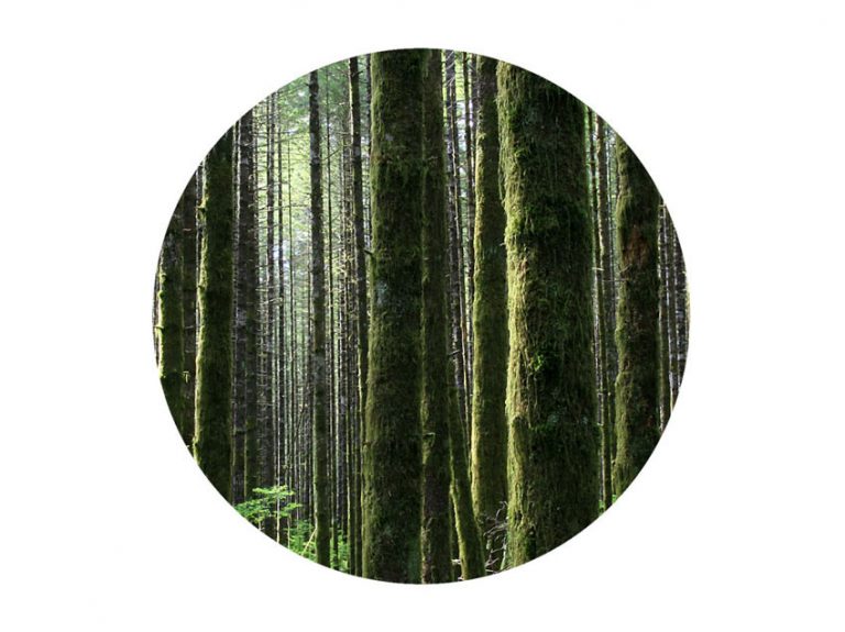 Interior decoration element for floor or wall (abstract wood Stock ...